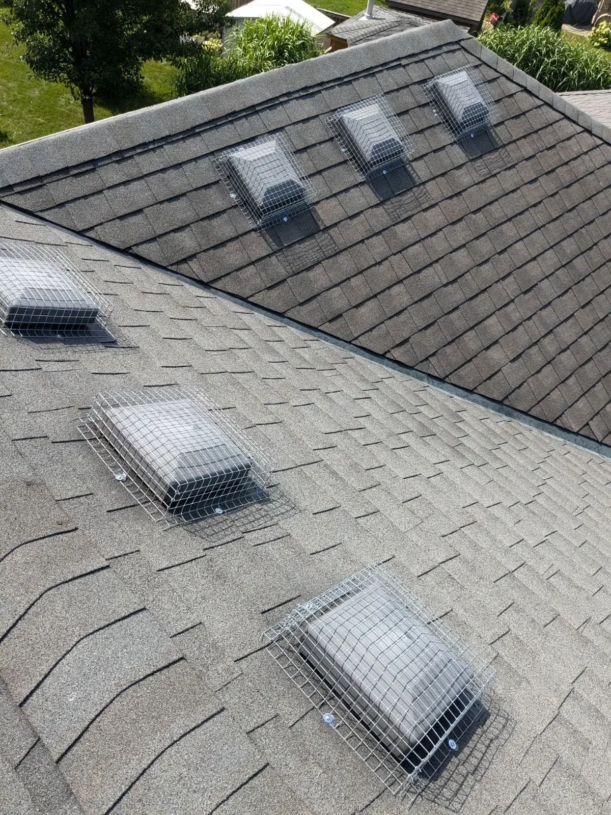 Vent Defender Pro steel wildlife guards installed over vents on a shingled roof.